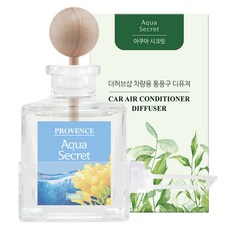 더허브샵 차량용 통풍구 디퓨저 40ml 본품, 아쿠아시크릿, 1개