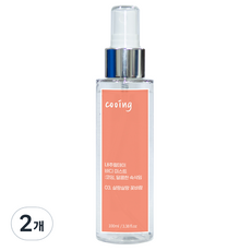 내추럴데이 코잉 바디 미스트 스프레이 03 살랑살랑 꽃바람 플로럴향, 2개, 100ml