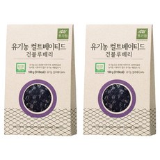유가원 컬티베이티드 건블루베리, 160g, 2개