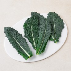 국내산 뉴그린, 1개, 100g