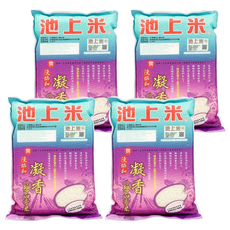 陳協和 凝香米2kg (台灣在地好米、芋頭香氣、Q彈飽滿), 4入