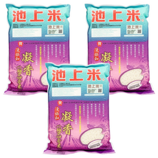 陳協和凝香米2kg 3入-台灣在地 口感Q彈 芋頭香氣