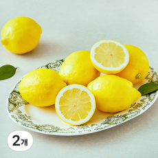 더네이처 칠레산 레몬, 2개, 700g