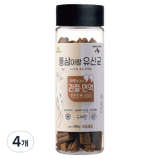 레디펫고 강아지 홍삼이랑유산균 가수분해 영양간식, 관절 면역(튼튼한 뼈 골밀도), 300g, 4개