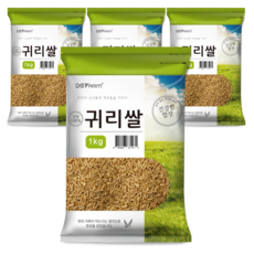 건강한밥상 국산 귀리쌀, 1kg, 4개