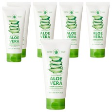 네이처리퍼블릭 수딩 앤 모이스처 알로에베라 폼클렌저, 150ml, 6개