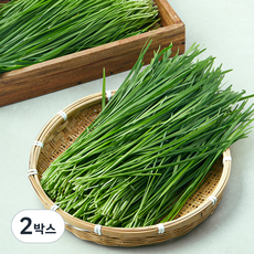 국내산 부추, 4kg, 2박스