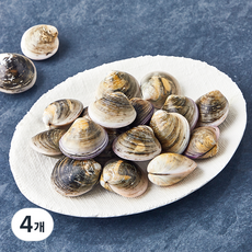 숨비해물 국내산 시원하고 담백한 모시조개 (냉장), 4개, 500g