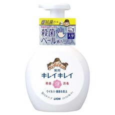 LION 獅王 趣淨 抗菌洗手慕斯 柑橘, 500ml, 1瓶