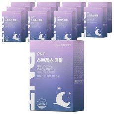 Dr.PNT L-茶氨酸錠, 12個, 30顆