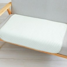 PASTEL PET 寵物彩色壓花網眼墊, 1個, 綠色