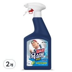 엘지 홈스타 욕실용 세정제 라임바질향, 750ml, 2개