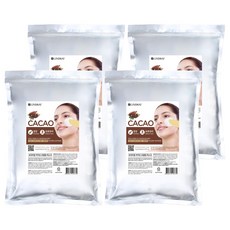 린제이 프리미엄 카카오 모델링팩 1kg, 1개입, 4개