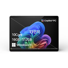 마이크로소프트 2024 서피스 프로 11 스냅드래곤 X 플러스, 블랙, 512GB, 16GB, WIN11 Home, ZHY-00033