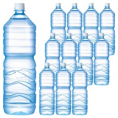 남양천연수 무라벨, 2L, 12개