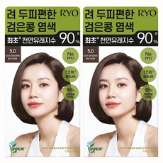 려 두피편한 검은콩 염색제 120g, 5.0 애쉬브라운, 2개