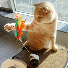 PETPPURI 雙球貓玩具, 空間白, 1個