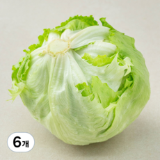 국내산 양상추, 1통, 6개