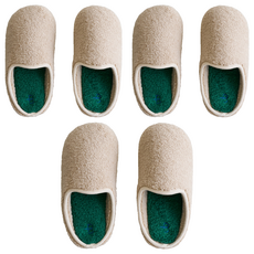女士微笑熊羊羔毛絨毛室內拖鞋, 米色 + 綠色, 3個