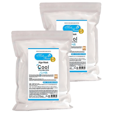 메디플라워 모델링 팩 쿨, 1개입, 2개