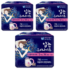 화이트센스 입는 중형 오버나이트 팬티형, 5개입, 3개