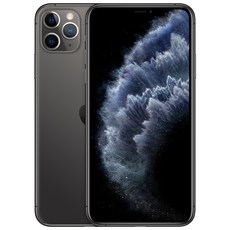 Apple 아이폰 11 Pro Max 자급제, 256GB, Space Grey