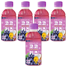 베베쿡 코코키즈 포도, 220ml, 5개