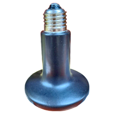 Petpetzone 佩佩龍 爬蟲專用 陶瓷燈泡紅外線50W 加溫燈泡, P034, 1個