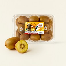 제스프리 제주 골드키위, 1개, 1.5kg