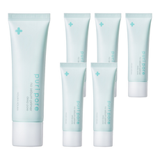 홀리카홀리카 퓨리포어 노세범 프라이머 딥포어 25ml, 6개