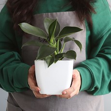 MORIANN 植物刻度方形花盆 2入, 白色