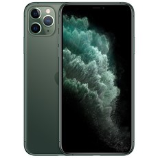Apple 아이폰 11 Pro Max 자급제, 64GB, 미드나잇 그린
