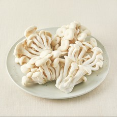 친환경 백색느타리버섯, 500g, 1개