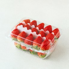 곰곰 국내산 딸기, 500g(중과), 1팩