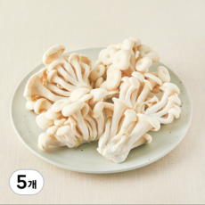 친환경 백색느타리버섯, 500g, 5개