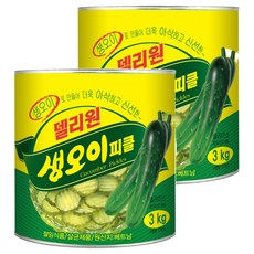 OTTOGI 不倒翁 醃黃瓜罐頭, 3kg, 2罐