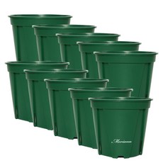 MORIANN 環保控根盆, 綠色, 10個