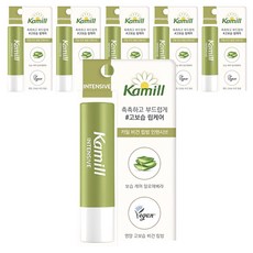 카밀 비건 인텐시브 립밤, 베르가못향, 4.2g, 6개