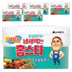 홈스타 냄새먹는 냉장고용 탈취제 유칼립투스 본품, 420g, 6개