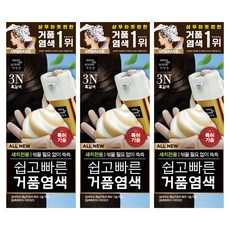 미쟝센 올 뉴 쉽고 빠른 거품 염모제, 3N흑갈색, 3개