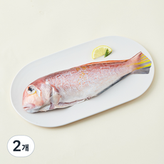 제주 산지직송 제주어가 생물 손질 옥돔 (냉장), 300g(대), 2개