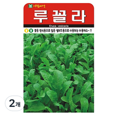 아람종묘 루꼴라 씨앗 2000p, 2개