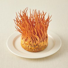 국내산 친환경 동충하초, 170g, 1개