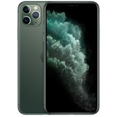 Apple 아이폰 11 Pro Max 자급제, 256GB, 미드나잇 그린