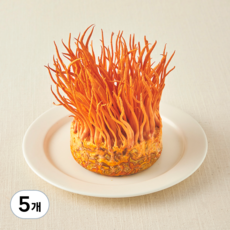 국내산 친환경 동충하초, 170g, 5개