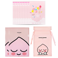 KAKAO FRIENDS 筆記本 10入+L型資料夾 2入+不織布袋, 隨機發貨(支架,無紡布袋), 1組