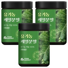 푸드버킷 유기농 케일분말, 100g, 3개