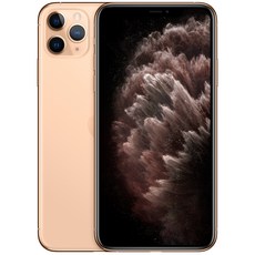 Apple 아이폰 11 Pro Max 자급제, 64GB, 골드