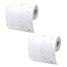 리온하임 빨아쓰는 위생행주 화이트 100p, 2개