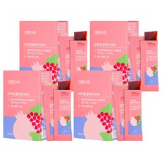 그린몬스터 프리미엄 콜라겐5000, 4개, 300g